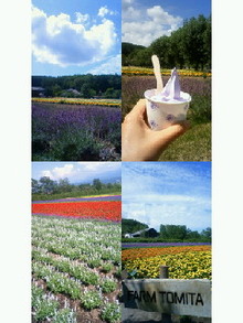 200908080243000