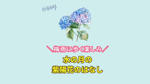 46