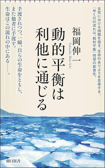 81038kjg0zl_sy522__2